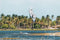 Core Pace Kite