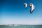 Core Pace Kite
