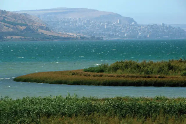 Kineret (Sea of Gallili)